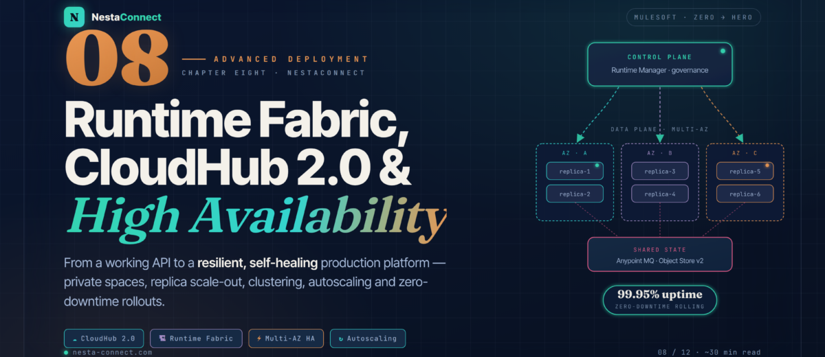 MuleSoft Mastery: From Zero to Hero | Ch.08