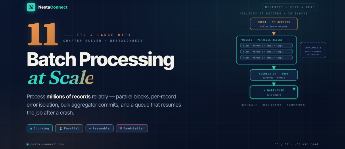 MuleSoft Mastery: From Zero to Hero | Ch.11